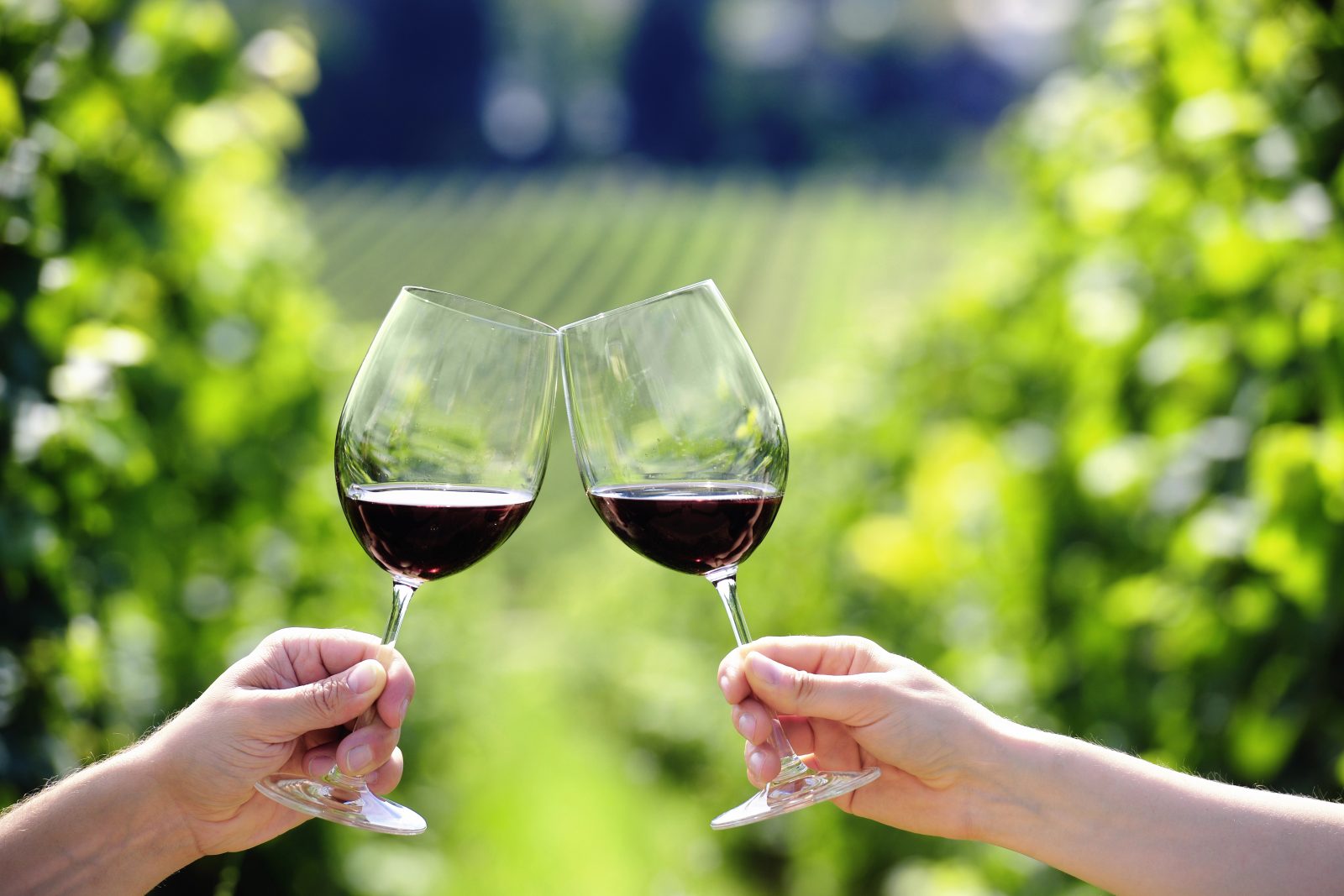 Pri degustacijah so kozarci za vino različnih oblik